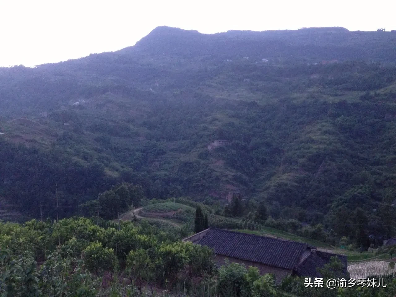 在您的心里,你觉得什么是孝顺?