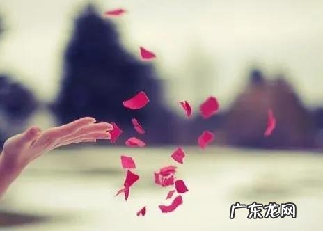 心有所属下一句是什么意思 心有所属百度百科