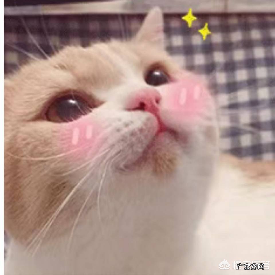 你见过最有魅力的女生是什么样的?