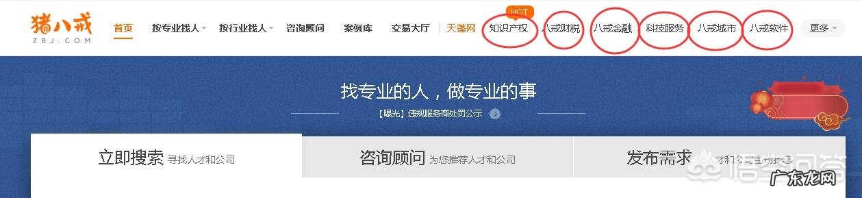 为什么说猪八戒网的水很深？
