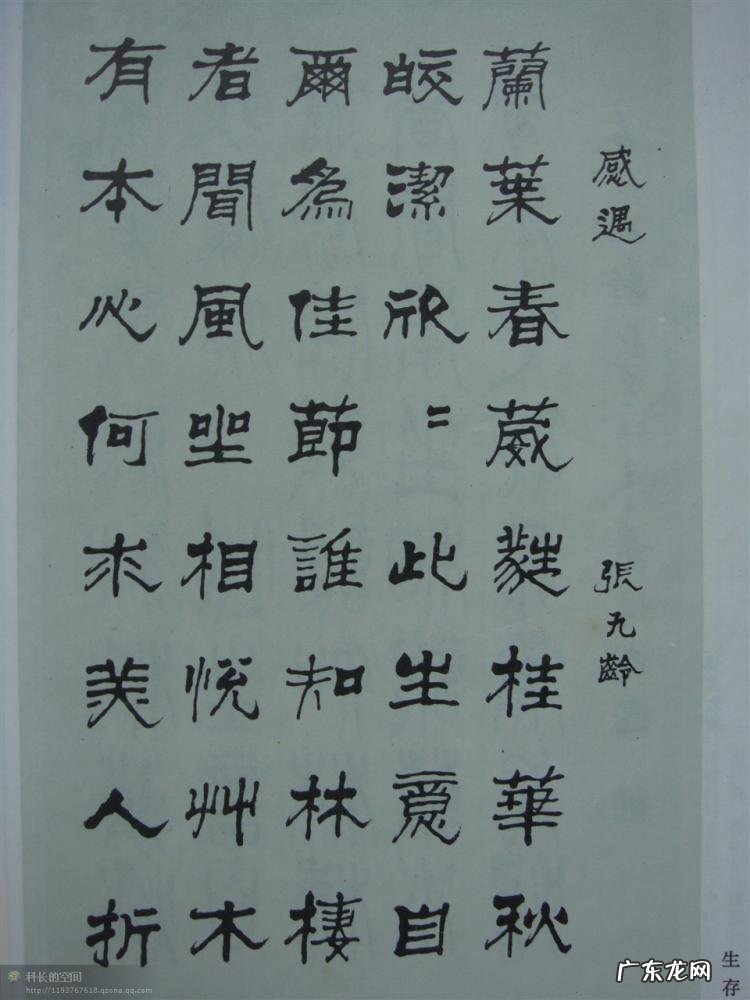 书法四体指的是哪四体 正草隶篆四体字典