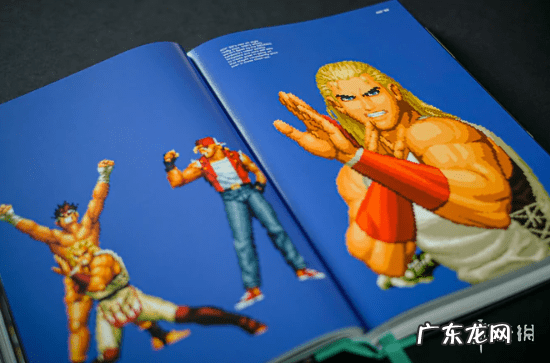 终极拳霸 终极拳皇