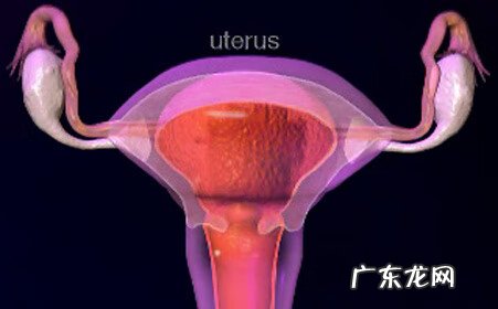盆腔积液多少才正常 盆腔积液多少算正常范围