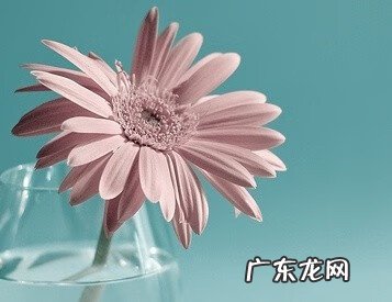 盆腔积液多少才正常 盆腔积液多少算正常范围