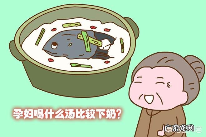 孕妇喝什么汤比较下奶?