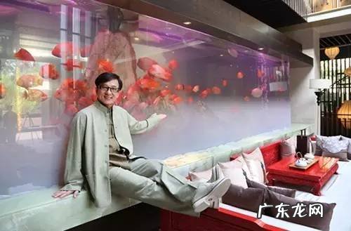 阳光房顶养鱼 房顶上养鱼风水好不好