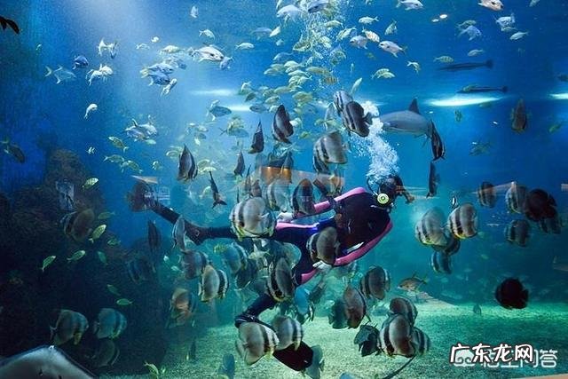 亚龙湾海底世界景区怎么样,好玩吗?