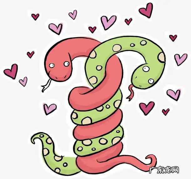 孝昌8条笨蛇一起偷鸡，打结成团解不开，给蛇打死结能解开吗？