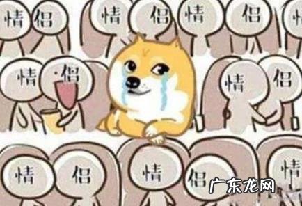 晒狗粮是骂人的意思吗 晒狗粮是骂人的意思吗视频