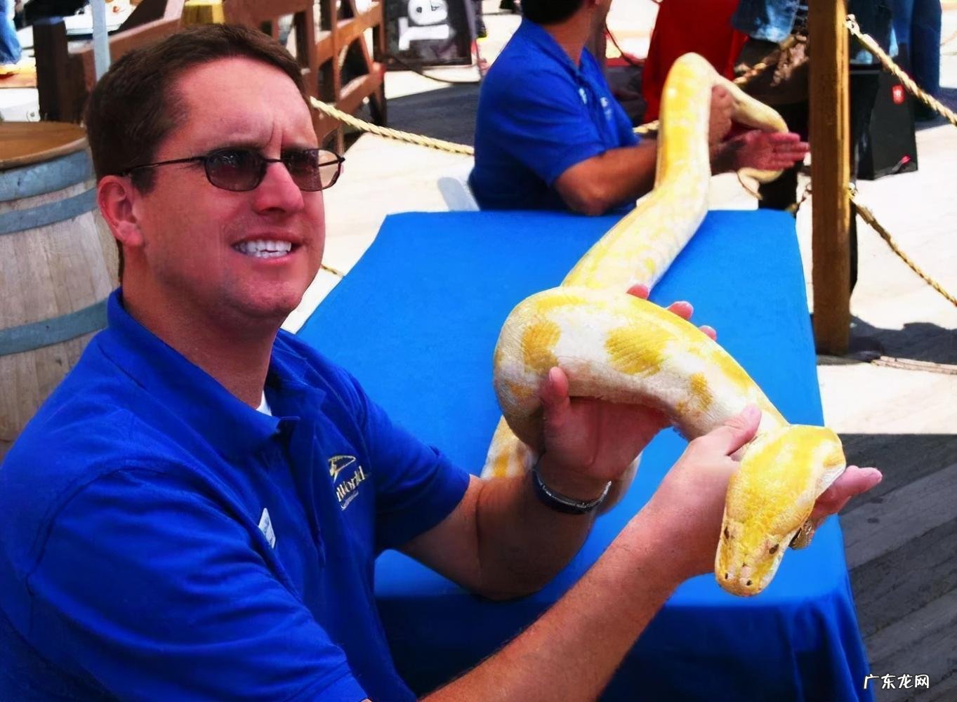 蛇的七寸是哪个位置 蛇的七寸在什么地方