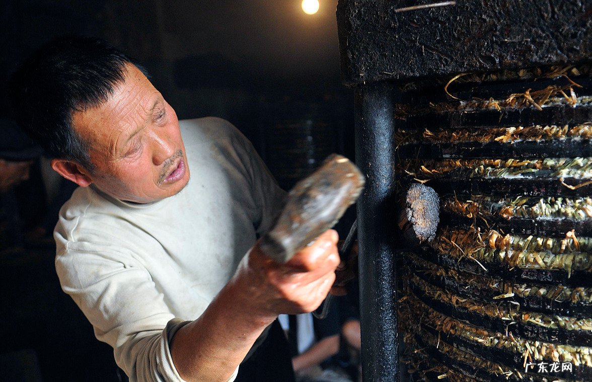 农村榨油不用钱,剩下的菜籽渣和花生渣不给你,他们会拿来干什么?