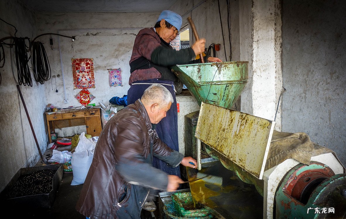 农村榨油不用钱,剩下的菜籽渣和花生渣不给你,他们会拿来干什么?
