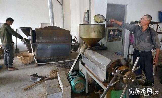 农村榨油不用钱,剩下的菜籽渣和花生渣不给你,他们会拿来干什么?