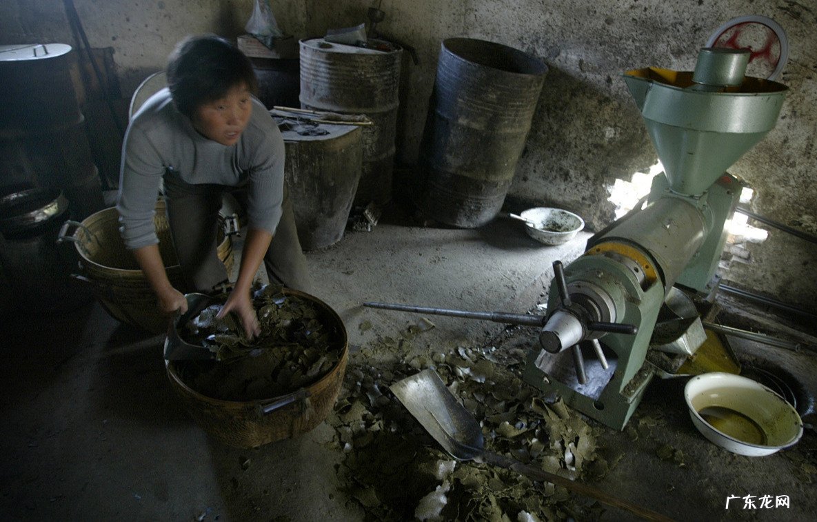 农村榨油不用钱,剩下的菜籽渣和花生渣不给你,他们会拿来干什么?