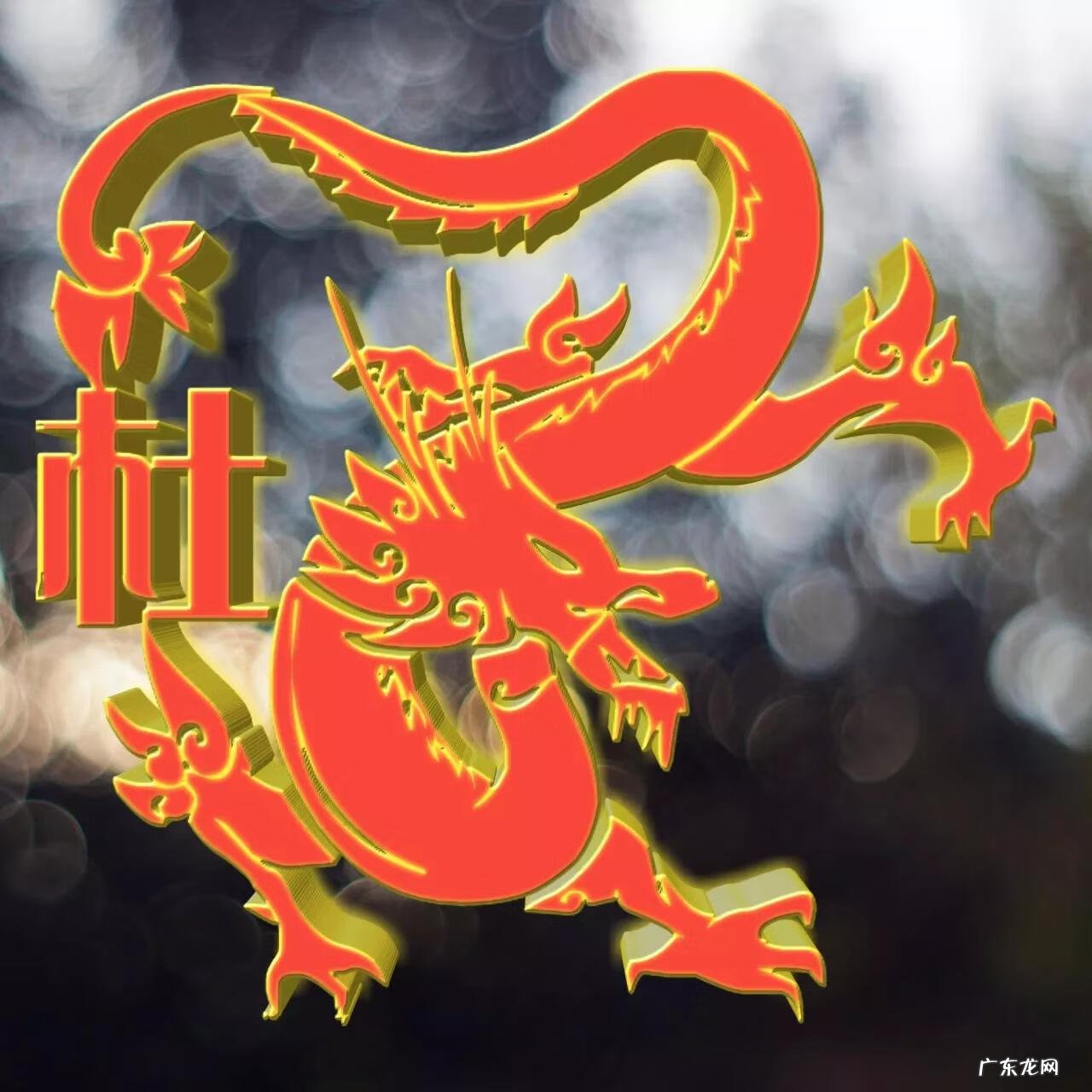 用老虎做微信头像风水 属龙风水头像