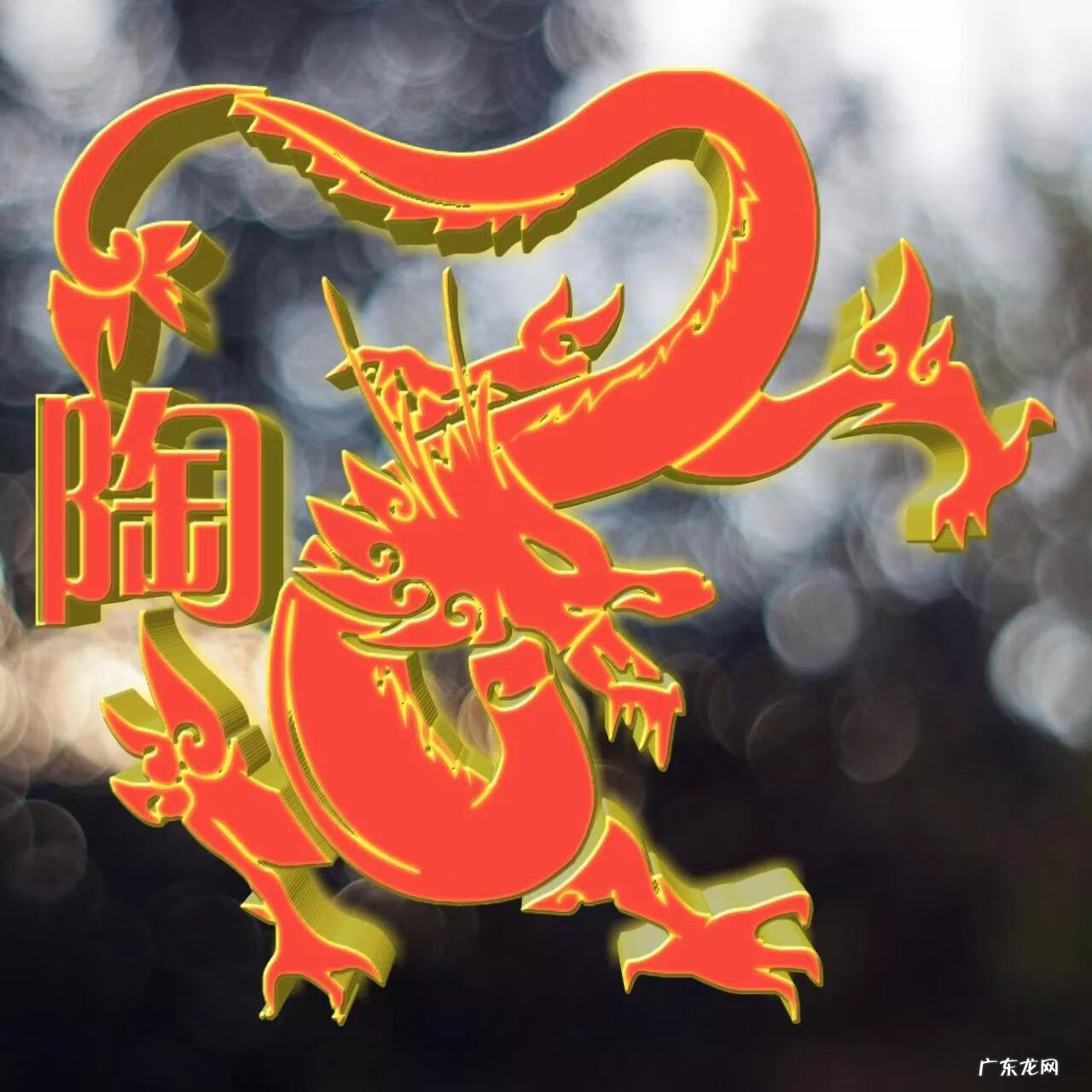 用老虎做微信头像风水 属龙风水头像