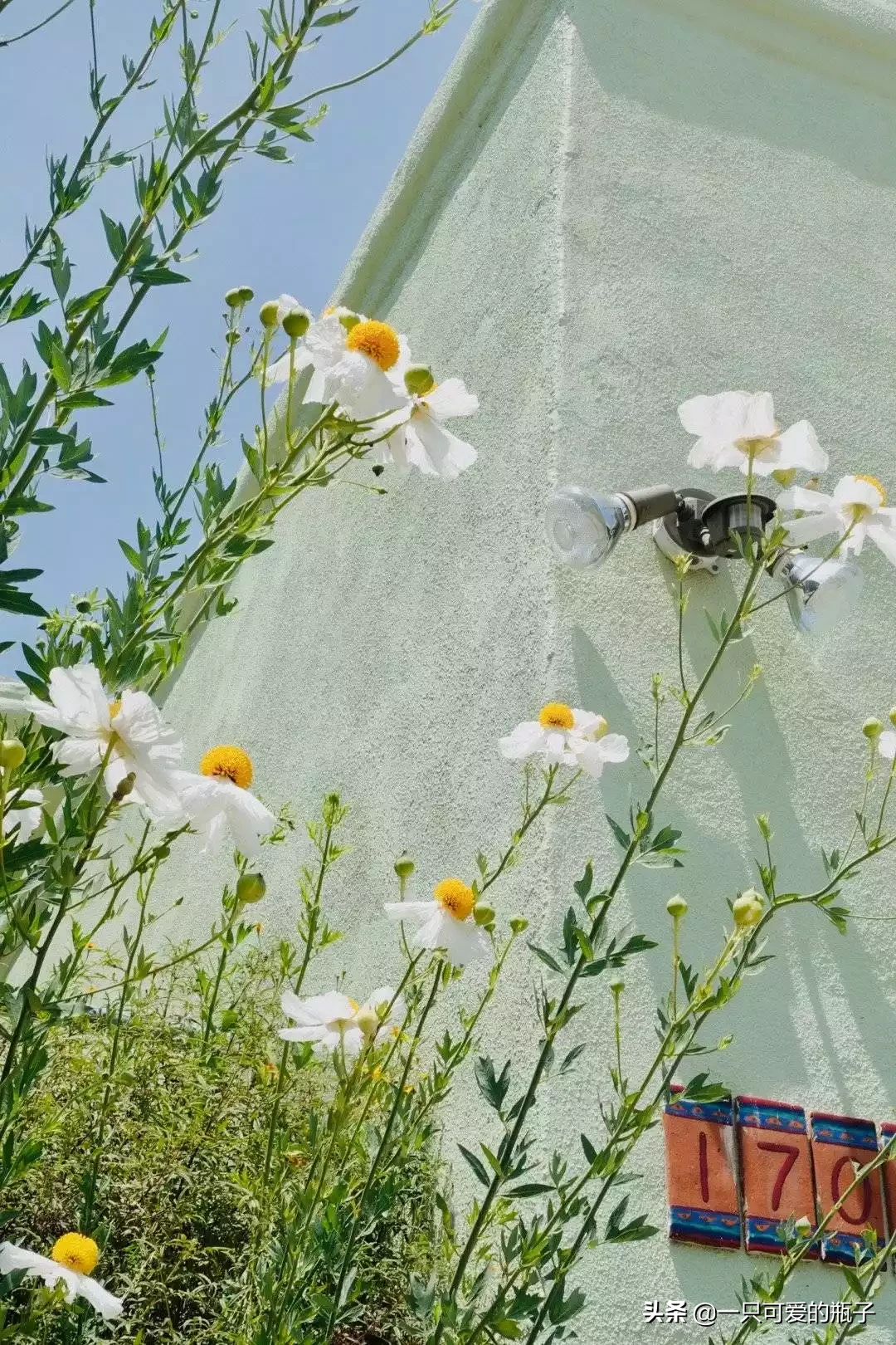 在这个秋天你觉得过得快乐吗？