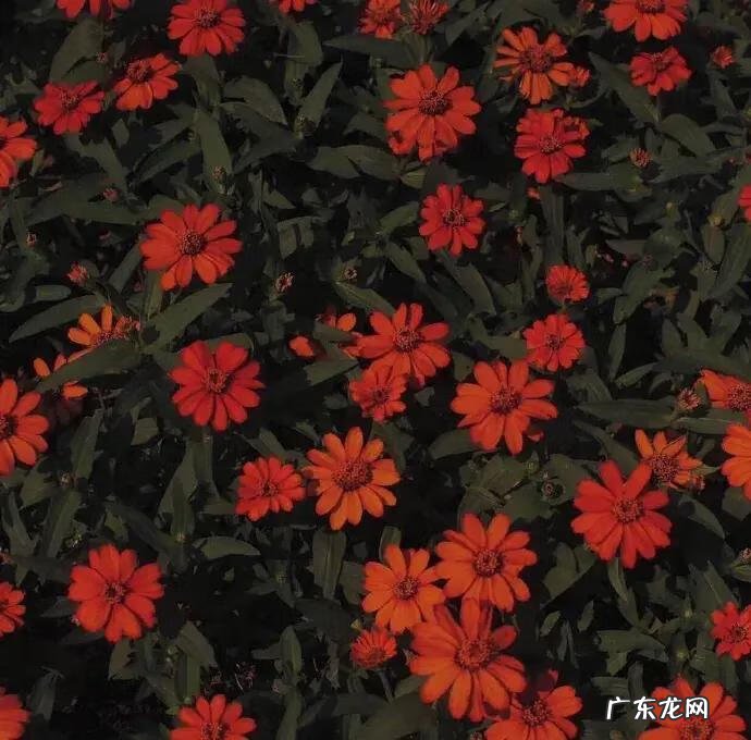 微信欢迎光临图片大全 欢迎光临我的图片