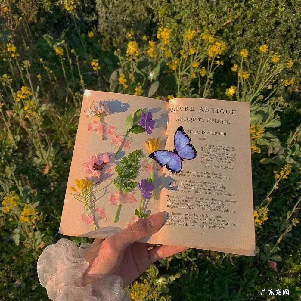 微信欢迎光临图片大全 欢迎光临我的图片