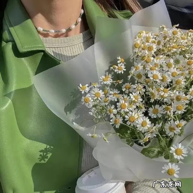 微信欢迎光临图片大全 欢迎光临我的图片