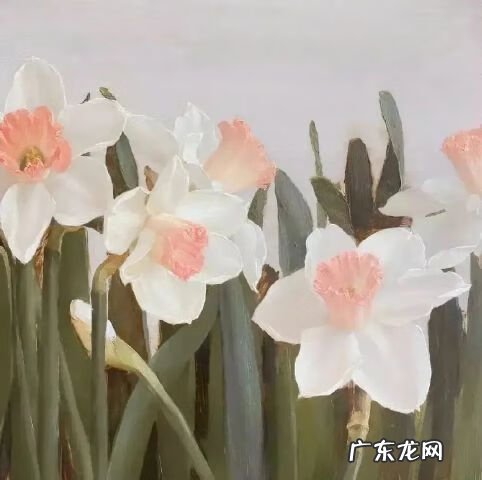 微信欢迎光临图片大全 欢迎光临我的图片