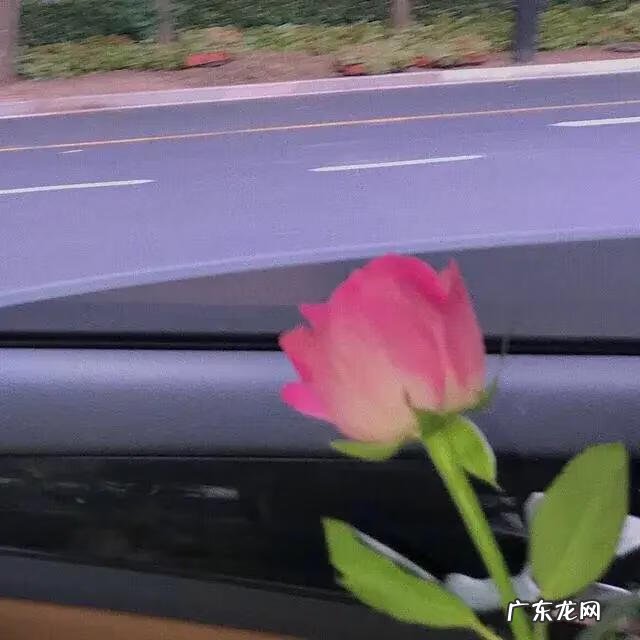 微信欢迎光临图片大全 欢迎光临我的图片