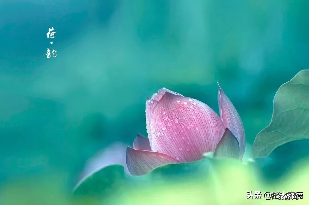 家里摆什么风水好 家庭最好的风水是什么