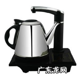 电动热水壶不自动上水 自动上水电热水壶排名前十名买购网
