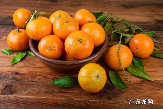 抵抗辐射的食物 抗辐射食物