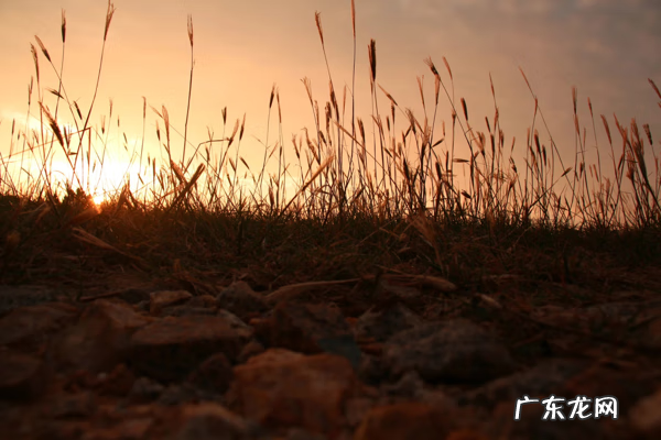 电白最有名风水宝地 电白童子湾在哪里