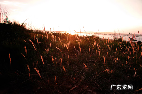 电白最有名风水宝地 电白童子湾在哪里