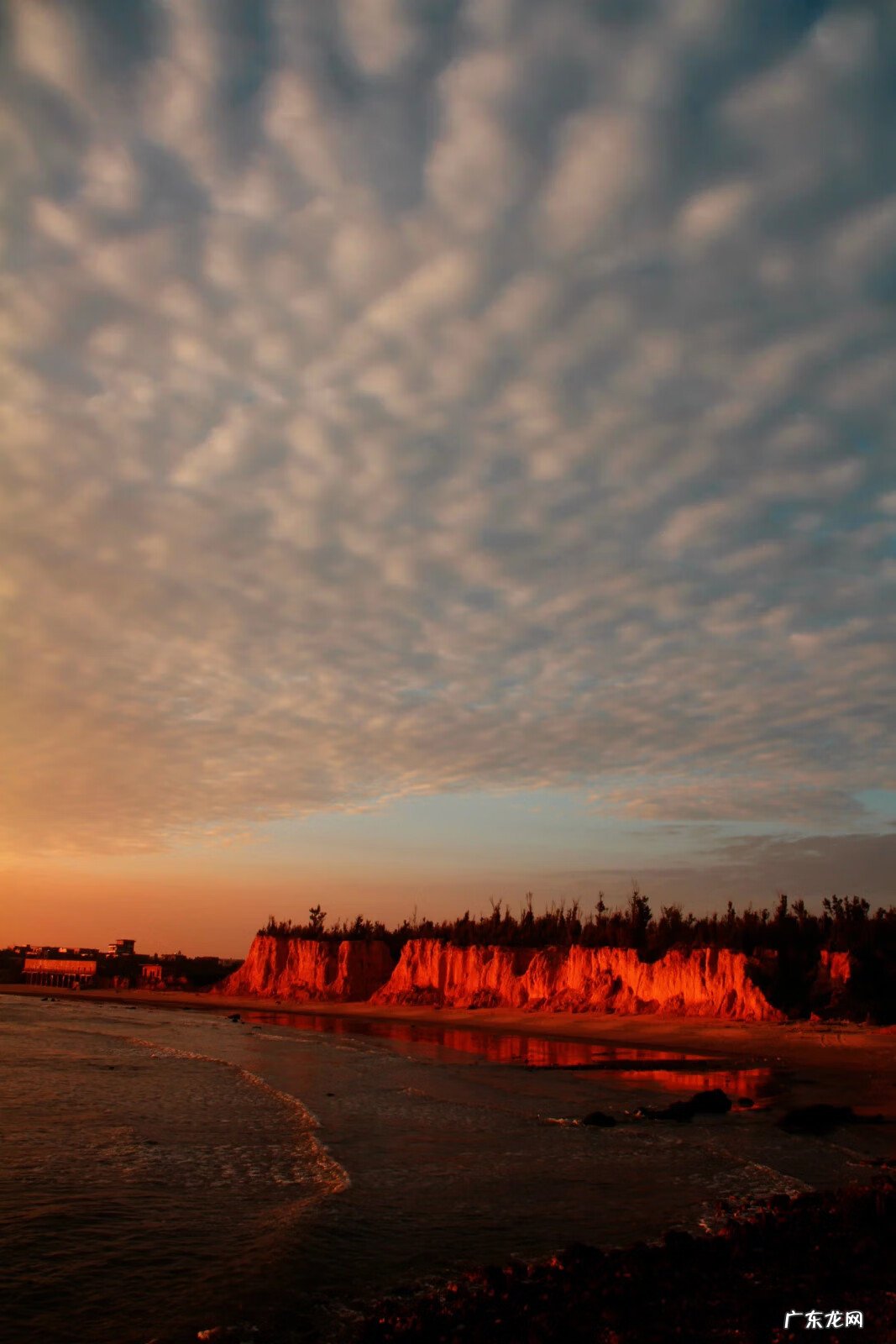电白最有名风水宝地 电白童子湾在哪里