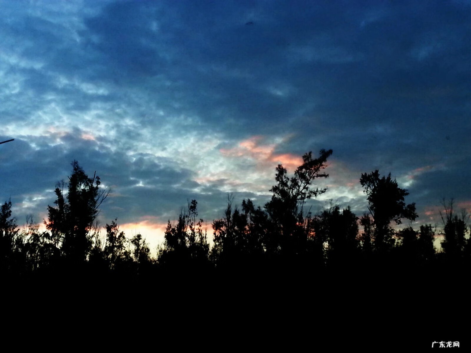 电白最有名风水宝地 电白童子湾在哪里