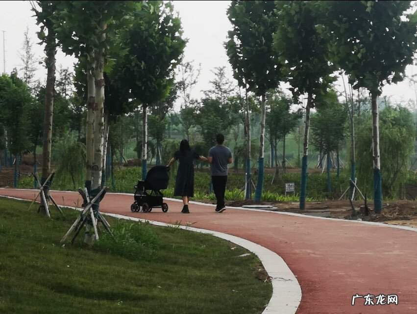 最好的风水先生 项城风水大师