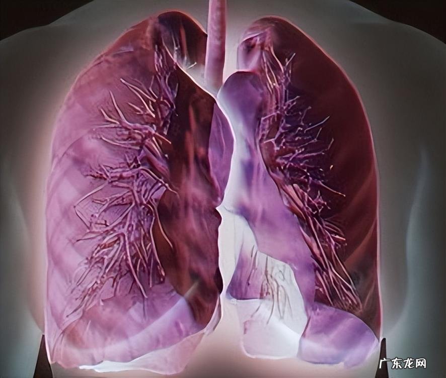 干咳无痰吃什么药效果最好 感冒干咳无痰吃什么药效果最好