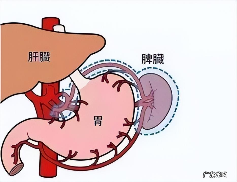 干咳无痰吃什么药效果最好 感冒干咳无痰吃什么药效果最好