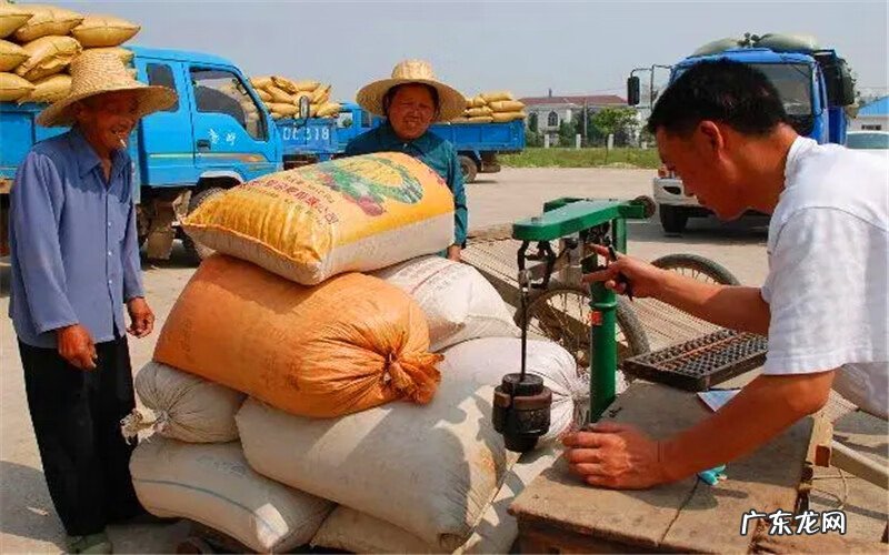 农村有哪些致富新项目 2022年致富新项目