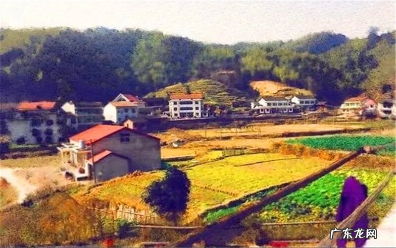 农村有哪些致富新项目 2022年致富新项目