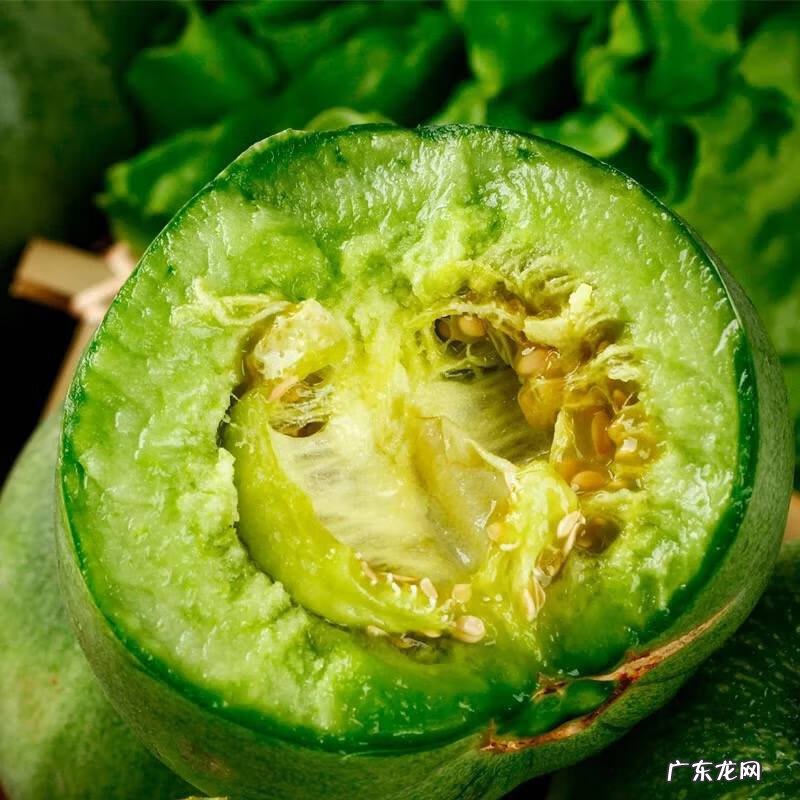 种香瓜的方法和过程 香瓜