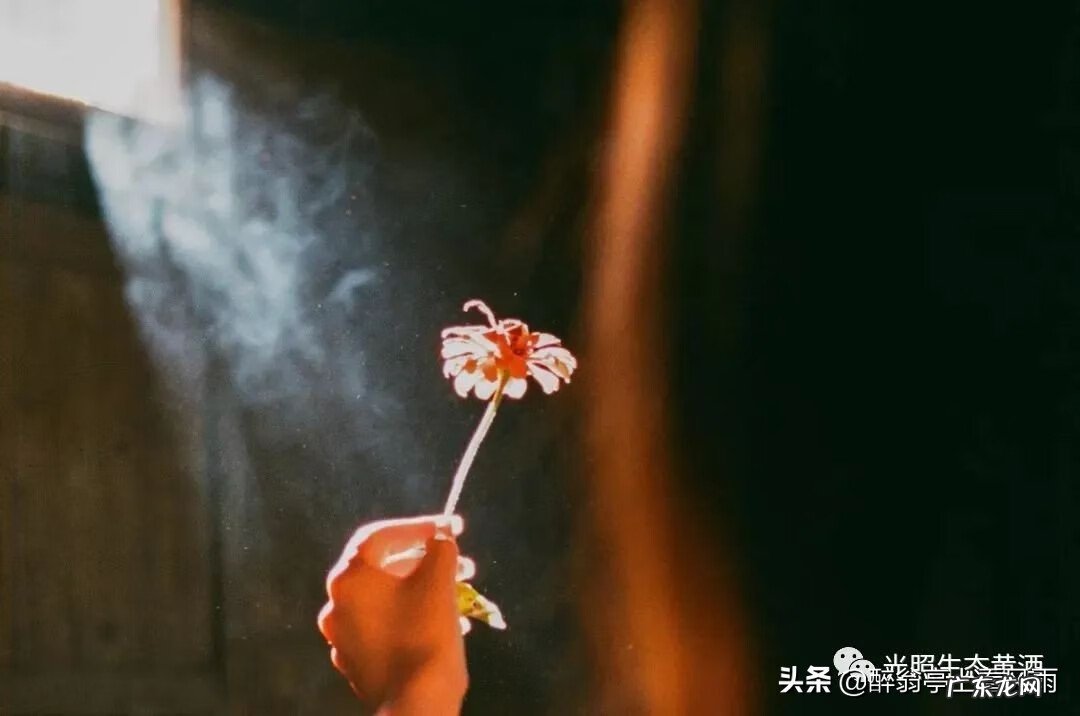 善良的人好风水 善良是人最好的风水!