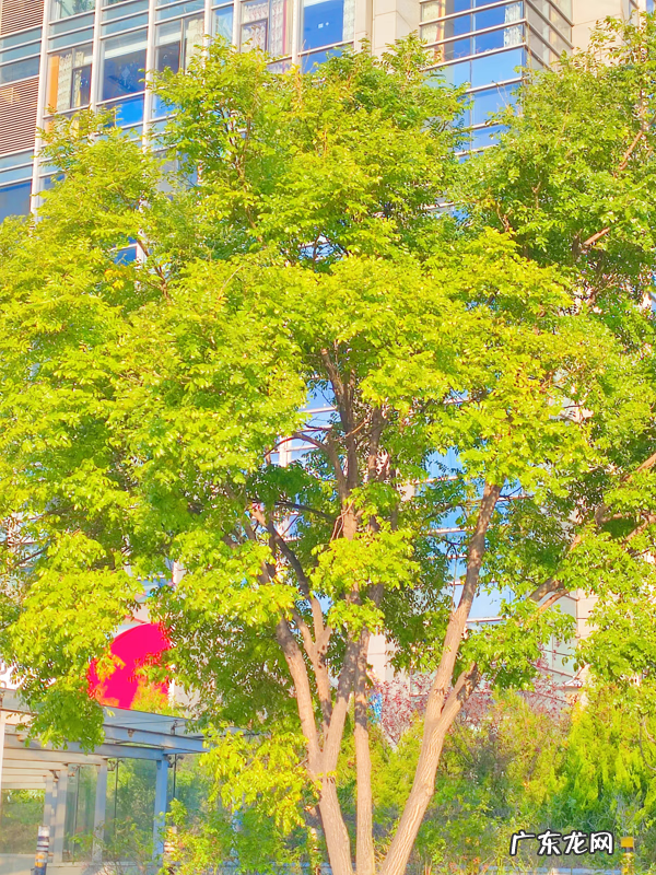 描写游乐场热闹的段落 游乐场作文题目