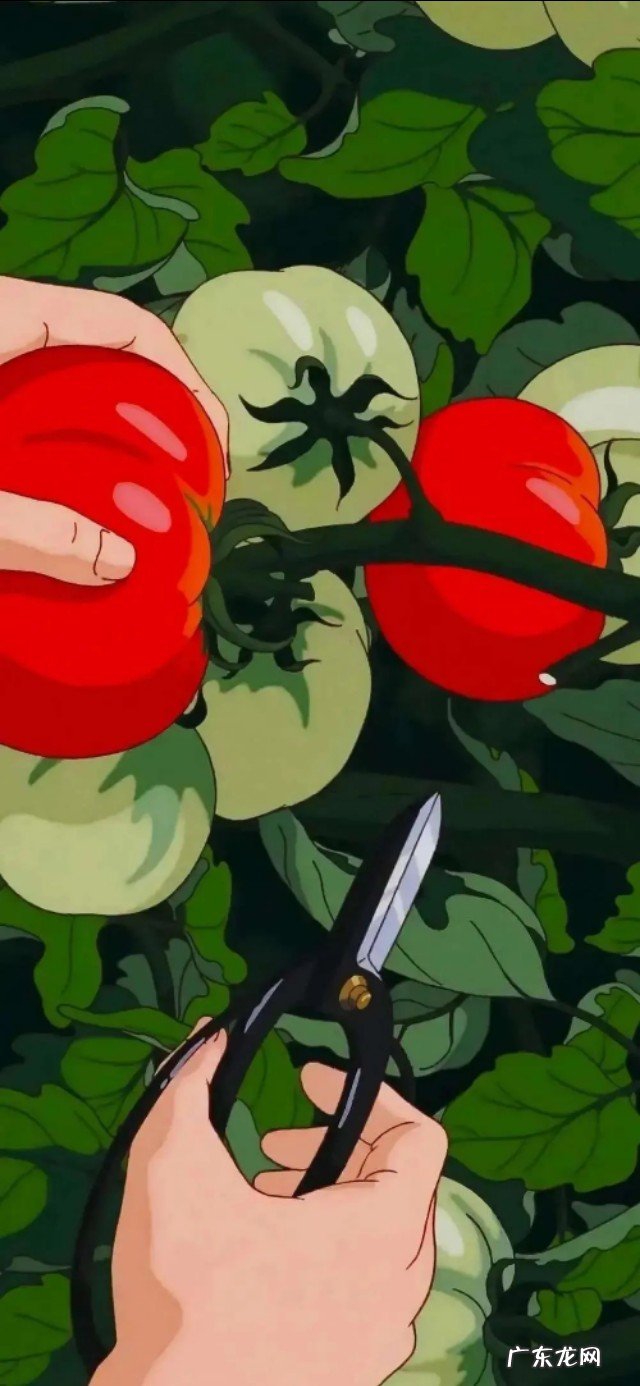 失恋怎样让自己的心情变好?