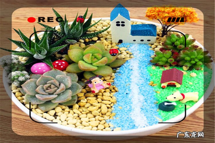 居家加工可以做什么 家庭手工加工项目