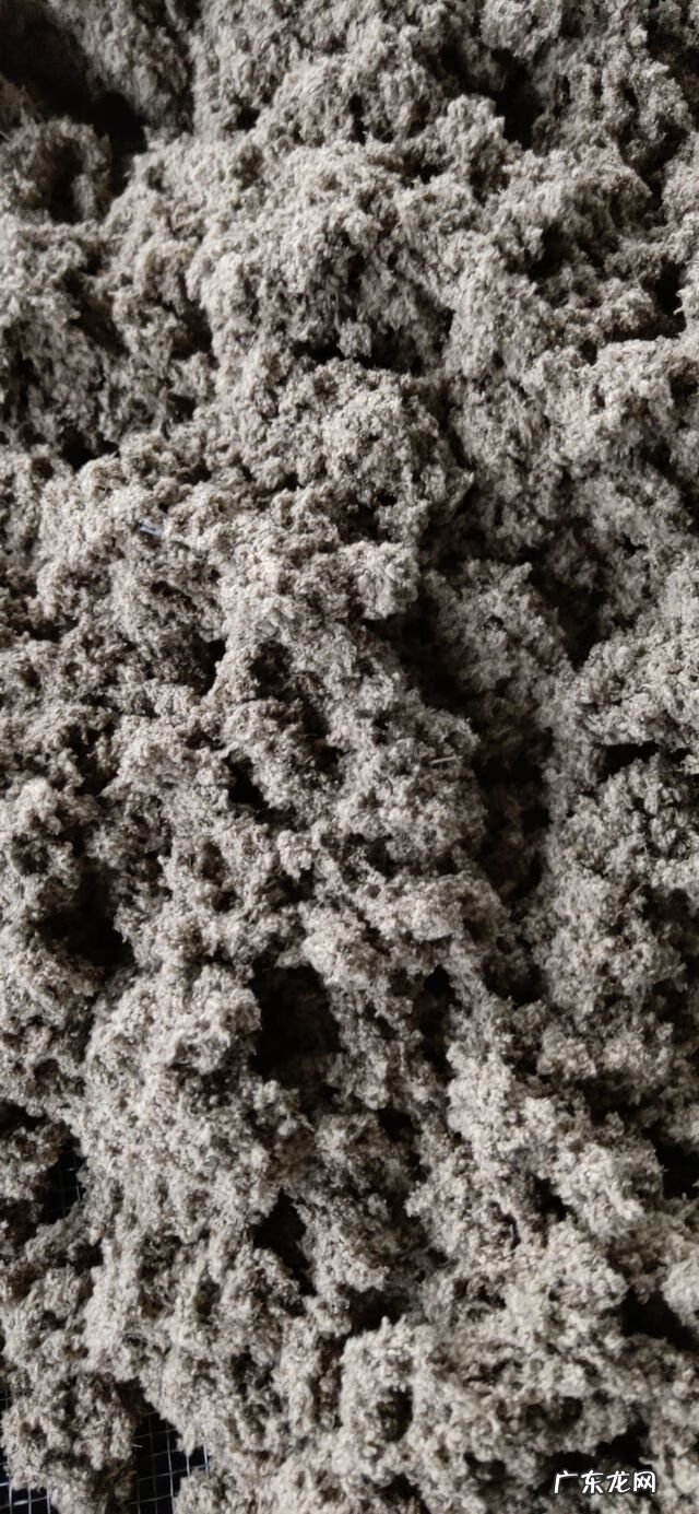 艾草图片艾草的种类 艾草条怎么做