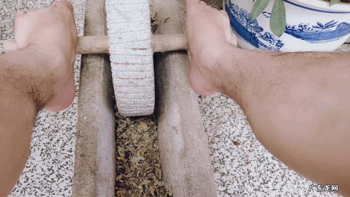 艾草图片艾草的种类 艾草条怎么做