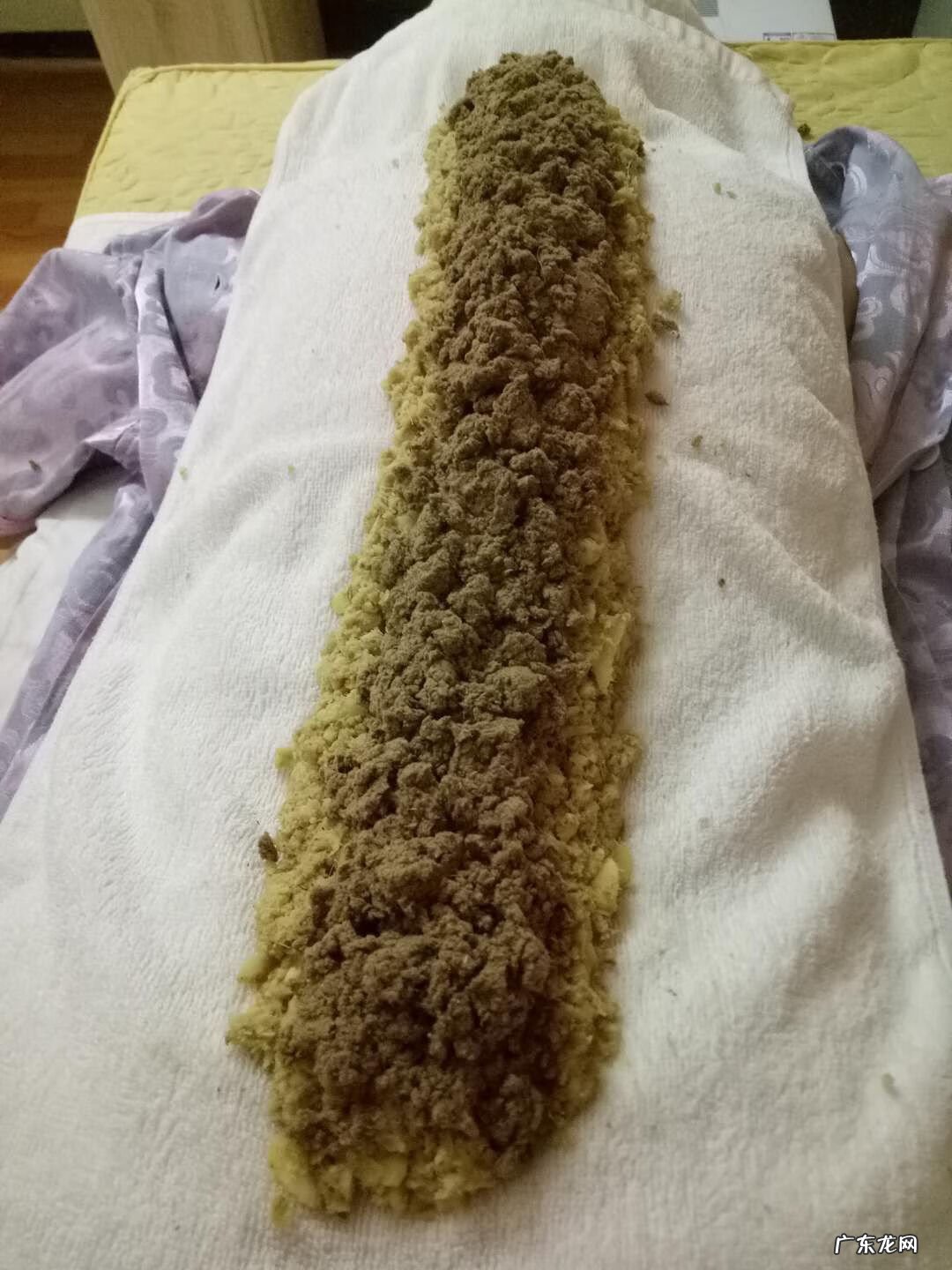 艾草图片艾草的种类 艾草条怎么做