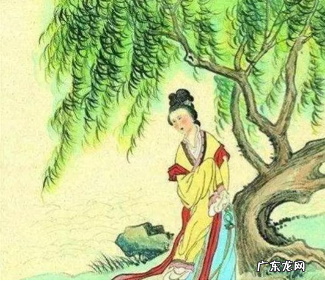 院子种树有什么讲究 风水学忌讳的五种树根