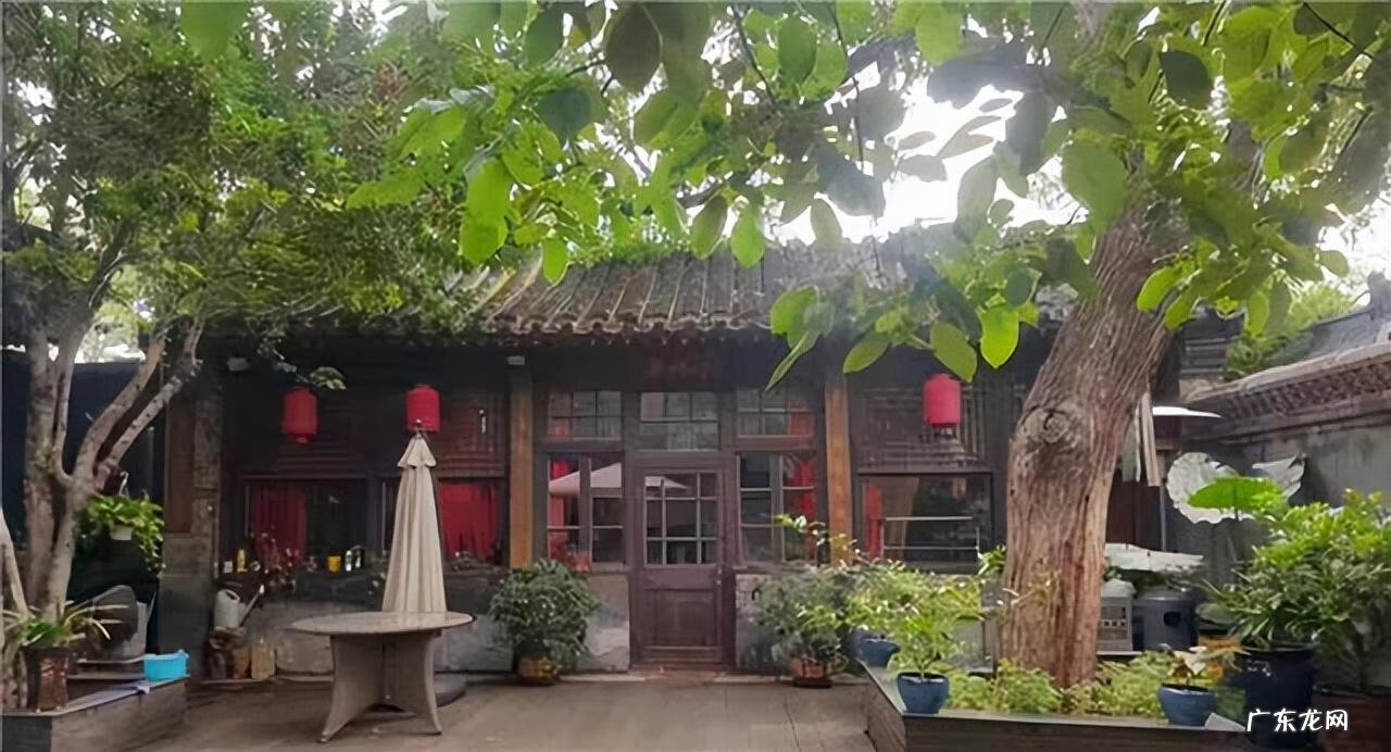 院子种树有什么讲究 风水学忌讳的五种树根