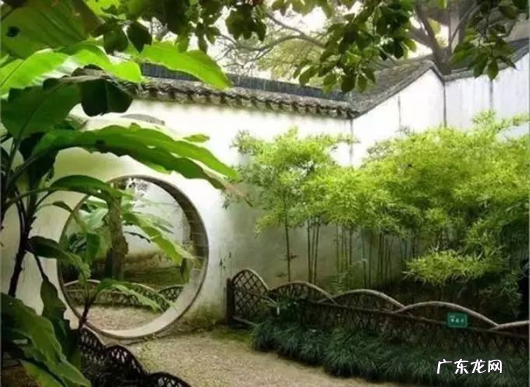 院子种树有什么讲究 风水学忌讳的五种树根