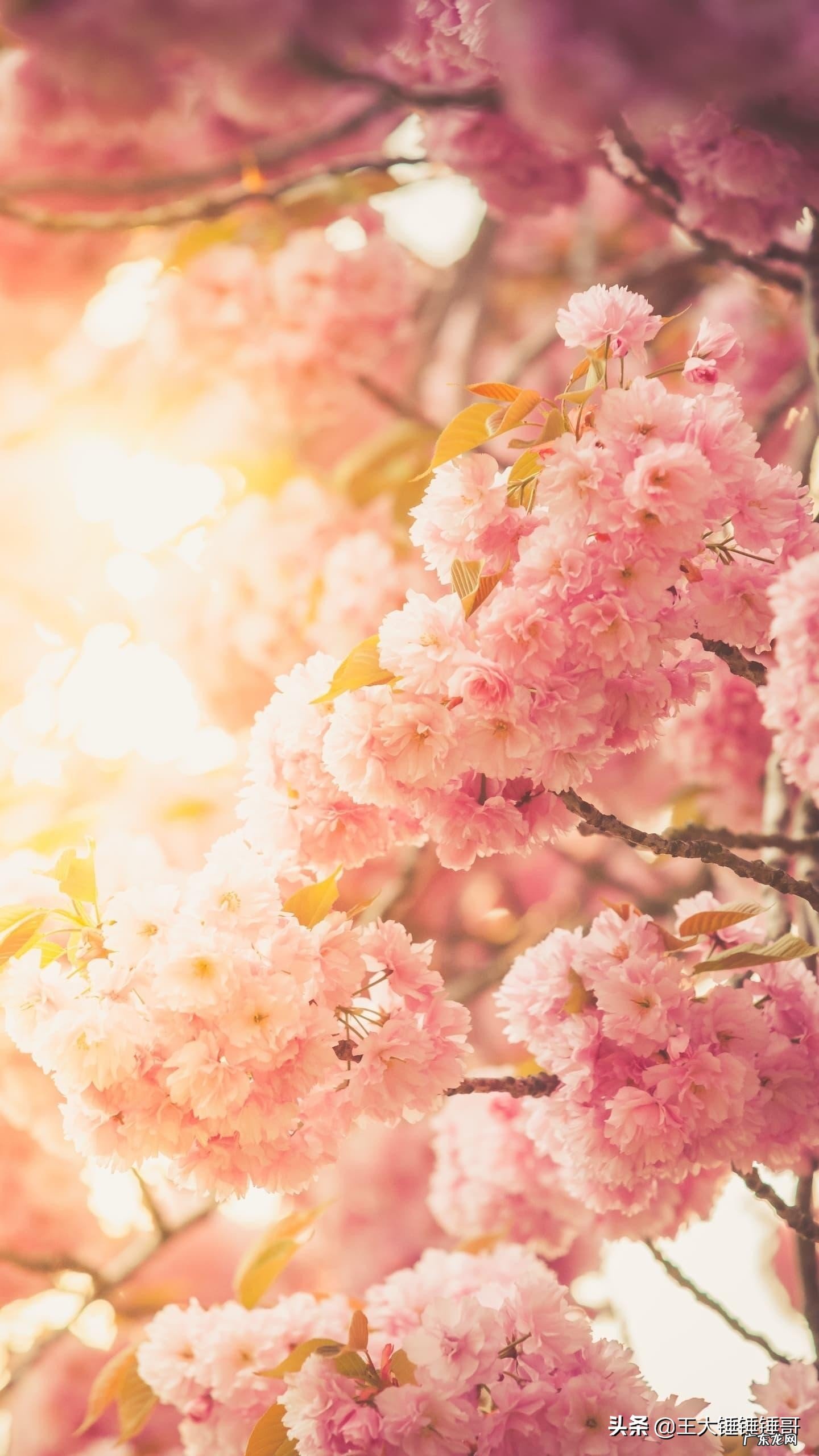 大家有没有兴趣分享一下失恋的经历呢?当时的心情、想法还有失恋的因果?